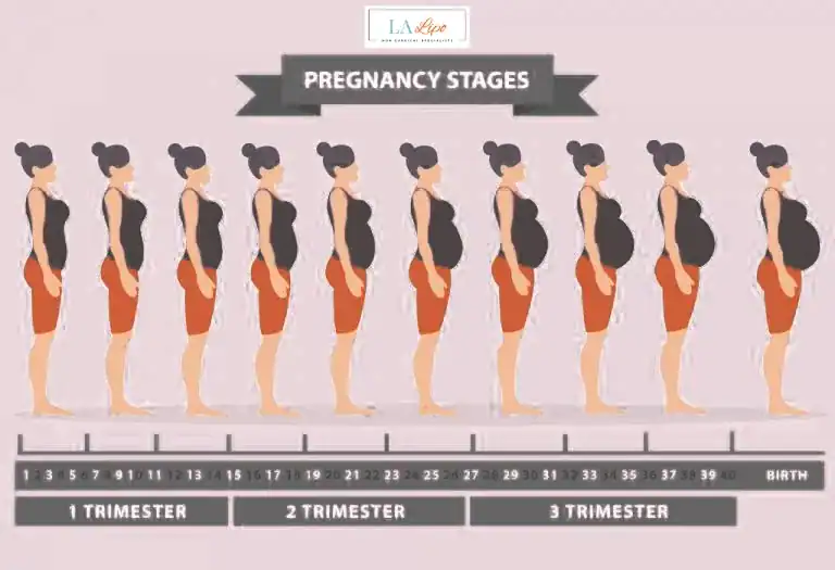 First Trimester (Weeks 1–12): Early Changes You Might Not Notice Hedge End